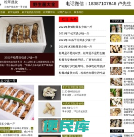 2023松茸价格多少钱一斤