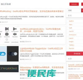 开发者雷
