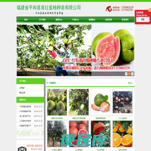 福建省平和县育红蜜柚种苗有限公司
