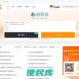 码农谷：职业资格考试试题与答案大全