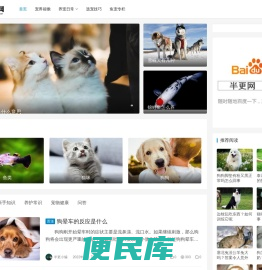 让铲屎官更好的了解宠物喂养护理知识
