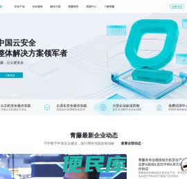 青藤云安全