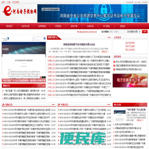 河南电子投标网