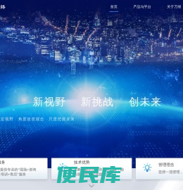 万维网络