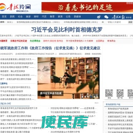 青海羚网