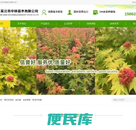弗吉尼亚栎