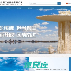 青海盐湖工业股份有限公司