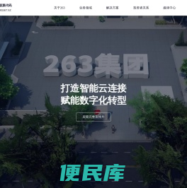 263集团