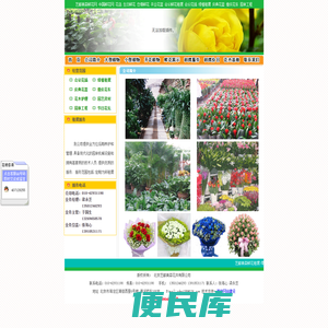 生日鲜花