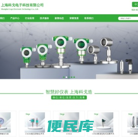 上海科戈电子科技有限公司