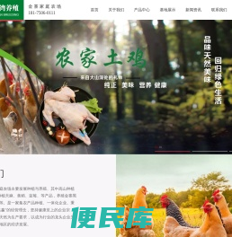 金寨土鸡