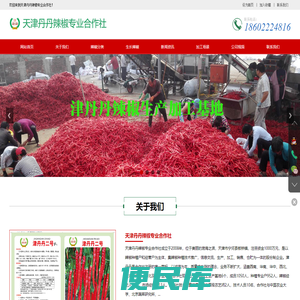 天津丹丹辣椒专业合作社