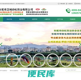 东莞常平白蚁防治