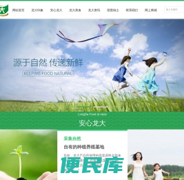 龙大食品集团有限公司