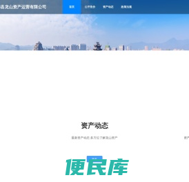 太湖县龙山资产运营有限公司