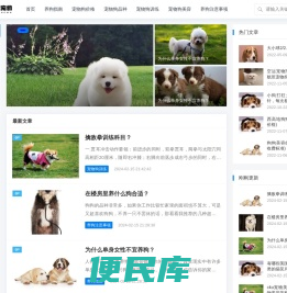 宠物狗的价格及品种