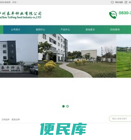 泸州泰丰种业有限公司