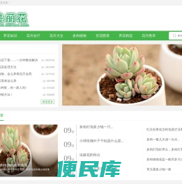 养花小技巧