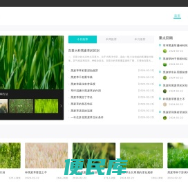 增润黑麦草