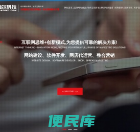 专业定制APP、小程序、网站、管理系统、物联网\\十年开发经验