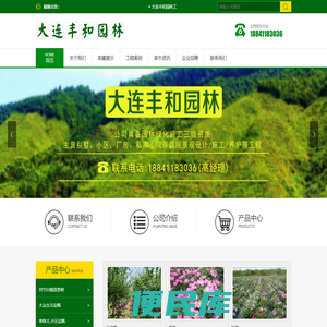 大连造型树,大连苗圃,大连金叶复叶槭,大连五角枫