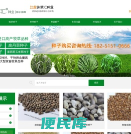 「牧草种子公司」批发种子