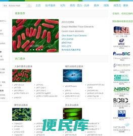 生物风