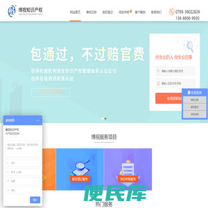广东博视知识产权管理咨询有限公司
