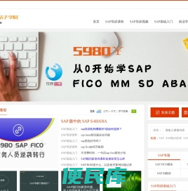 SAP培训