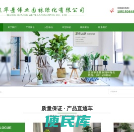 北京绿植租赁