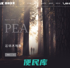 沈阳篮球馆体育运动木地板