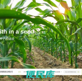 中种国际种子有限公司北京分公司