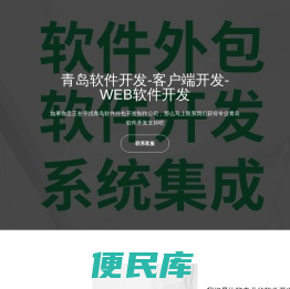 青岛软件外包公司