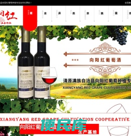 冰葡萄酒,纯正冰葡萄酒,原汁冰葡萄酒,清原满族自治县向阳红葡萄种植专业合作社
