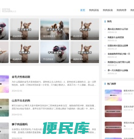 狗狗之家