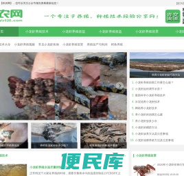 小龙虾养殖技术