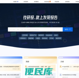 发现报告