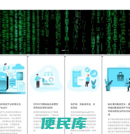 DSSVCS网络验证