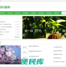 养花网