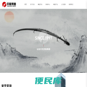 山东天龙控股集团