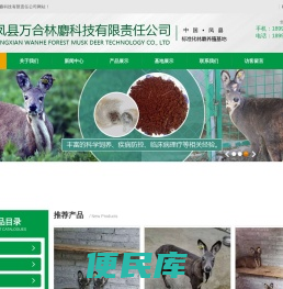 林麝养殖丨麝香丨林麝养殖加盟丨林麝基地