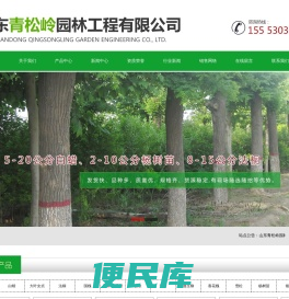 山东青松岭园林工程有限公司,从生女贞,白蜡,法桐