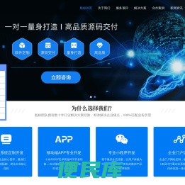 上海软件开发