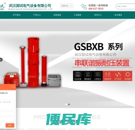 武汉国试电气设备有限公司