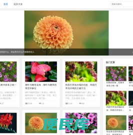 蒜之花网
