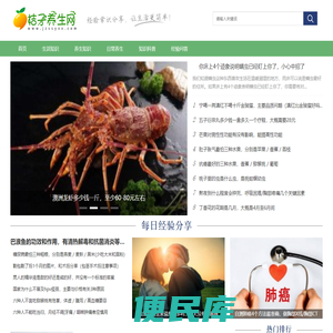 桔子养生网