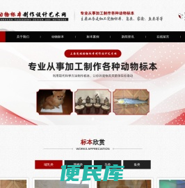 上海突破动物标本制作设计艺术网