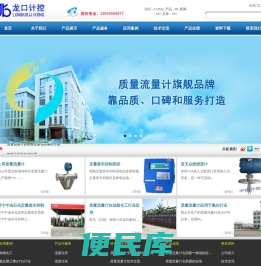 质量流量计