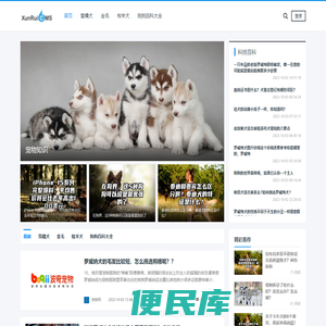 狗狗品种大全及图片