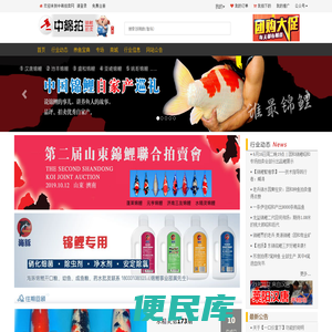 中锦拍